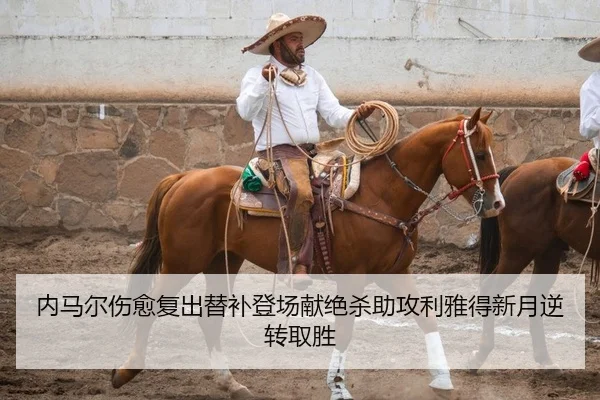 nei-ma-er-shang-yu-fu-chu-ti-bu-deng-chang-xian-jue-sha-zhu-gong-li-ya-de-xin-yue-ni-zhuan-qu-sheng-2-342.jpg